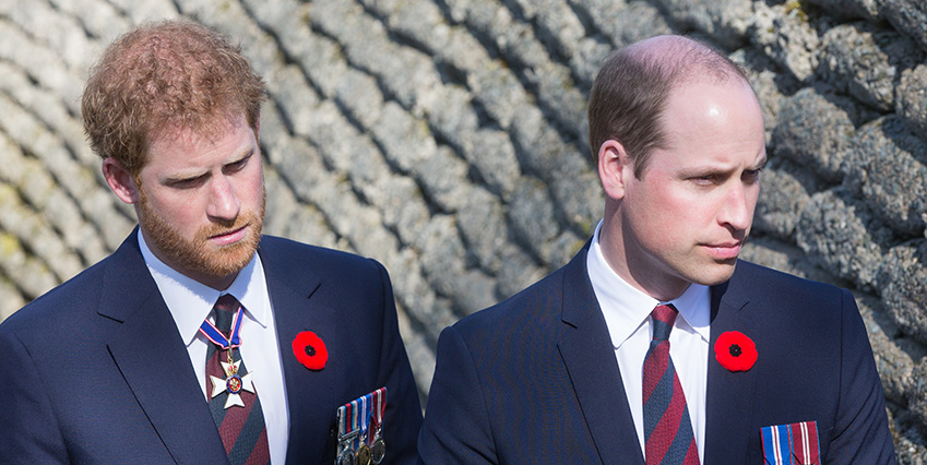Prins Harry och prins William uppges ha en n&aring;got sp&auml;nd relation just nu.