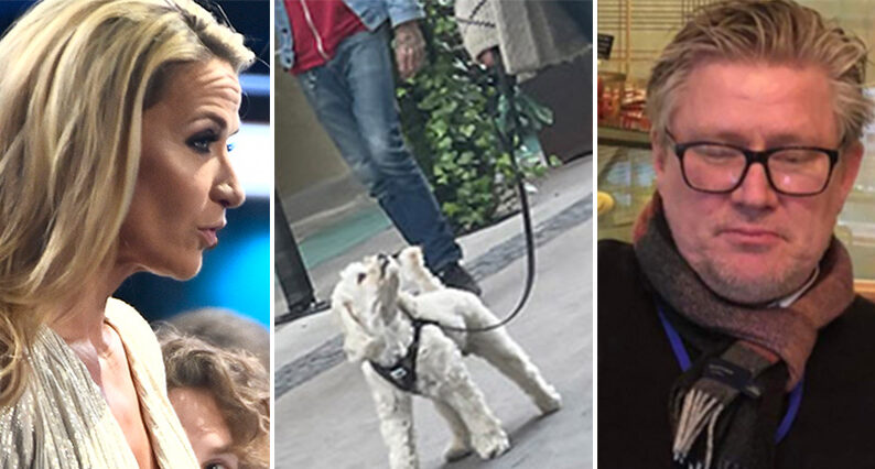 Kristin Kaspersen i hundbr&aring;k med nye &auml;lskaren
