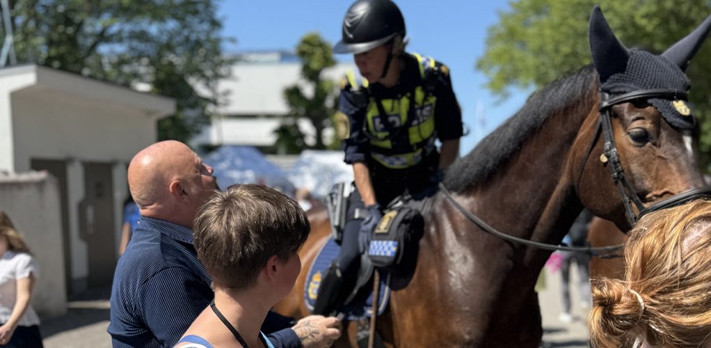 Anders Bagge verkar ha bra förklaringar på allt.