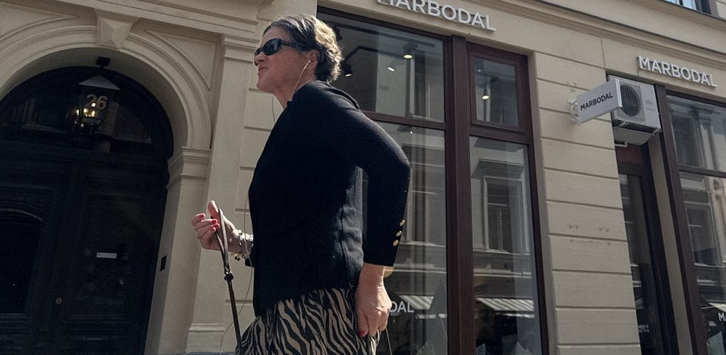 Anna Kinberg Batras tunga tid började efter att Fredrik Reinfeldt avgått.