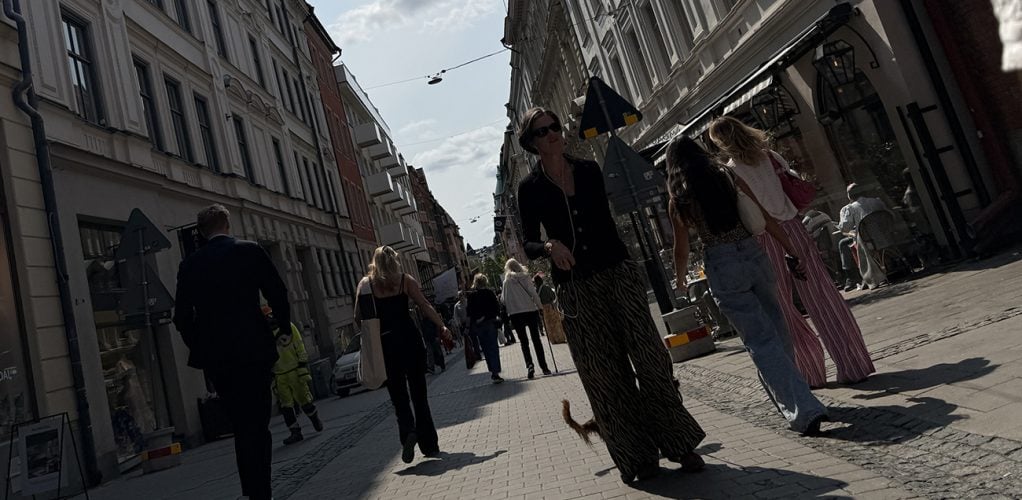Livet har tagit en ny vändning för Anna Kinberg Batra.