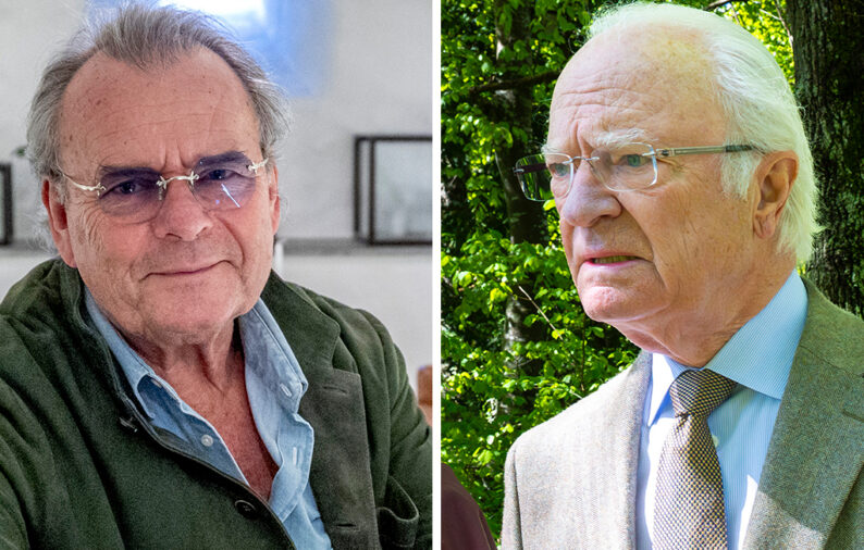 Steffo T&ouml;rnquist privata avsl&ouml;jande om kungen v&auml;cker ilska