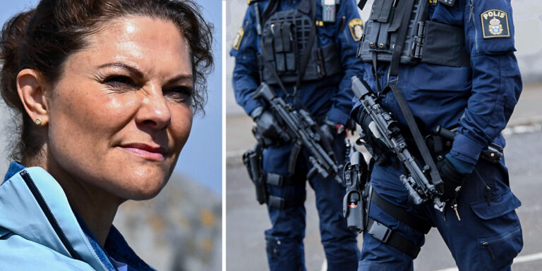 Victoria i ot&auml;ckt knivdrama &ndash; bev&auml;pnad 73-&aring;ring gripen vid slottet
