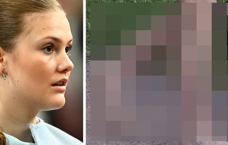 Mystiska m&auml;rket p&aring; Estelles kropp &ndash; nu ryter hovet ifr&aring;n